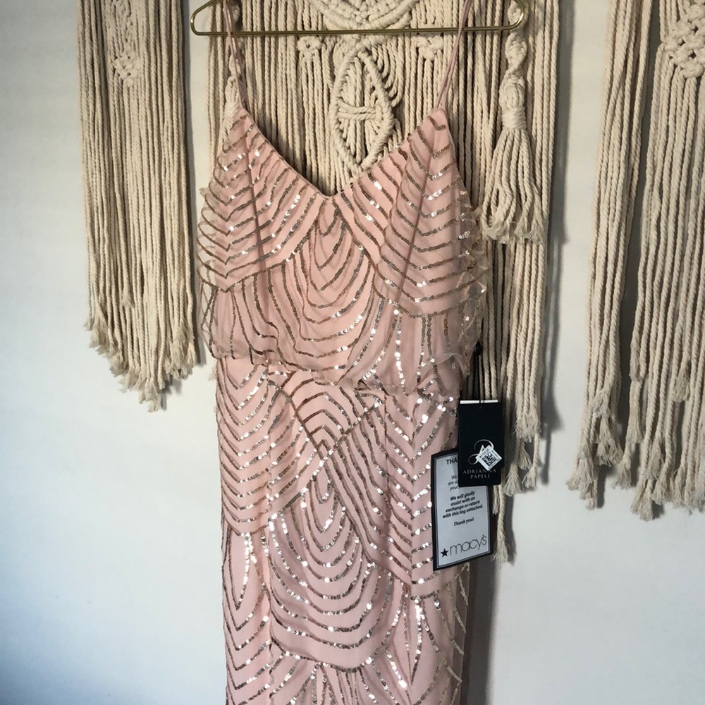 Adrianna Pappel Blush Sequin Gown
